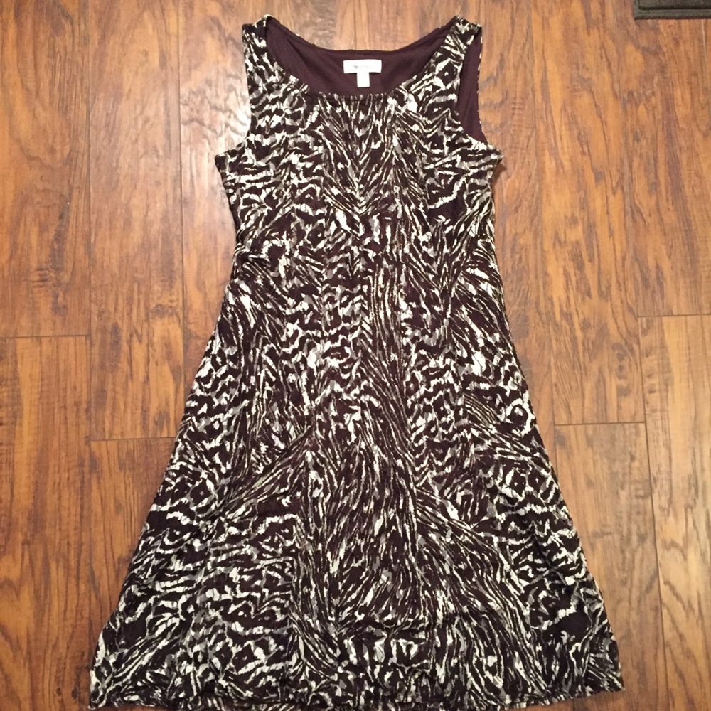 Dress Barn Dress Size 8